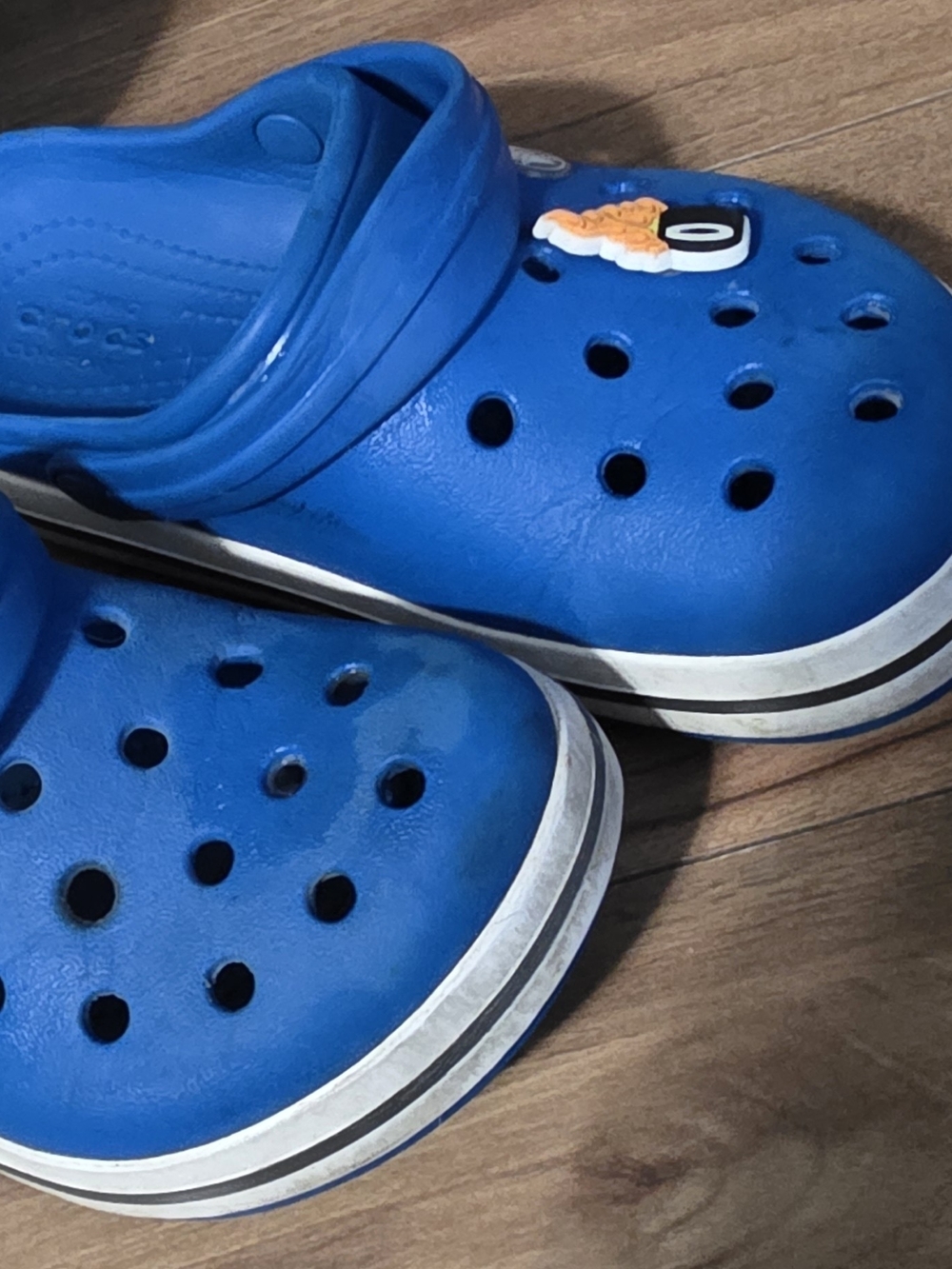 CROCS Kids' Water Clog in Bright Blue with White Trim